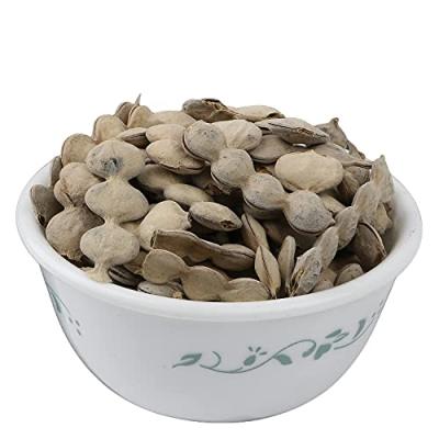 Babul Ki Fali - Babul Ka Phool – Benefits, Uses and  More